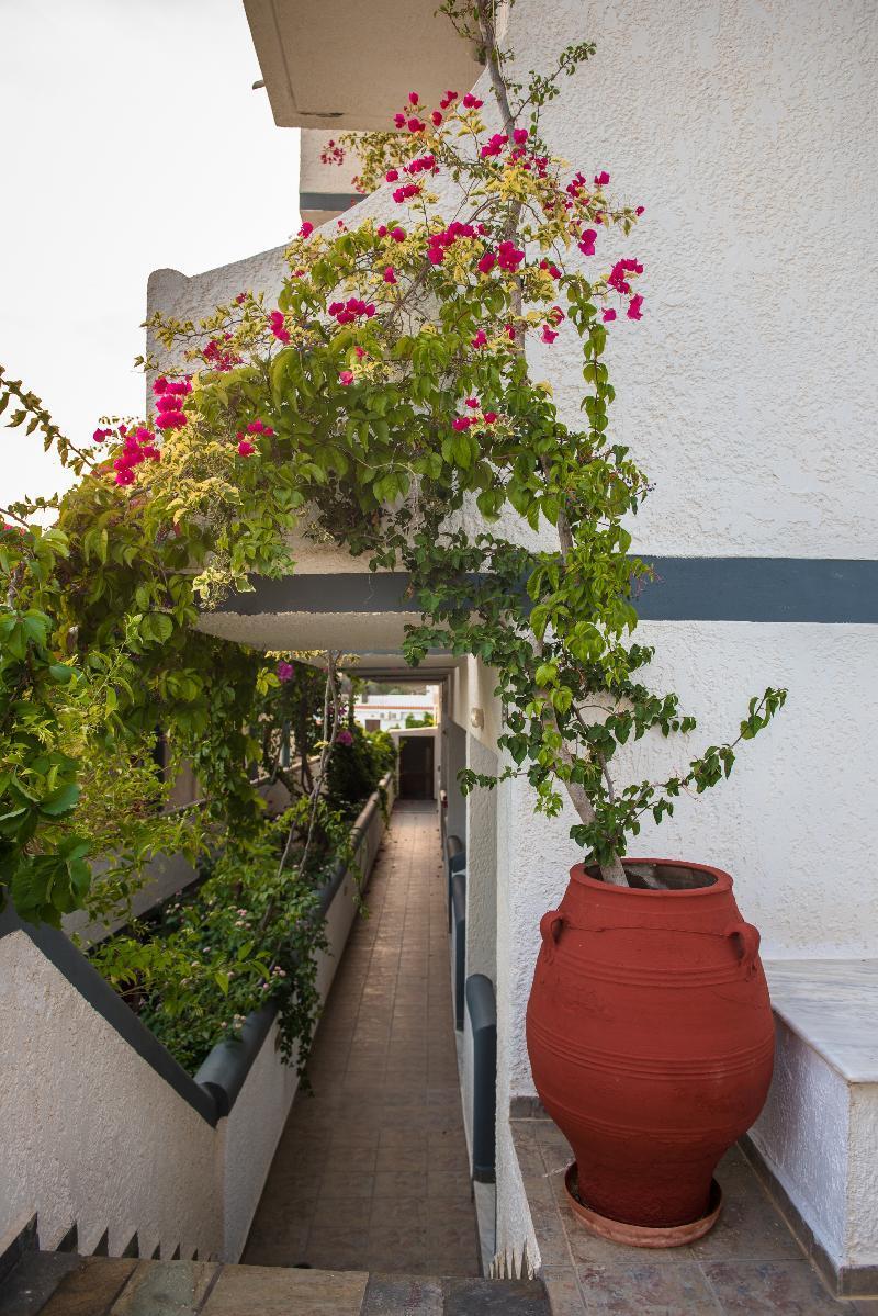 איה גליני Fevro Hotel מראה חיצוני תמונה