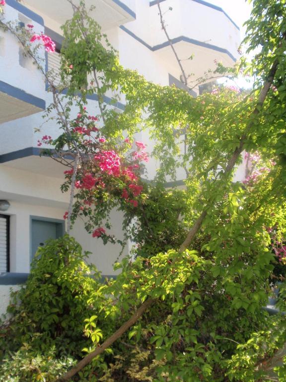איה גליני Fevro Hotel חדר תמונה