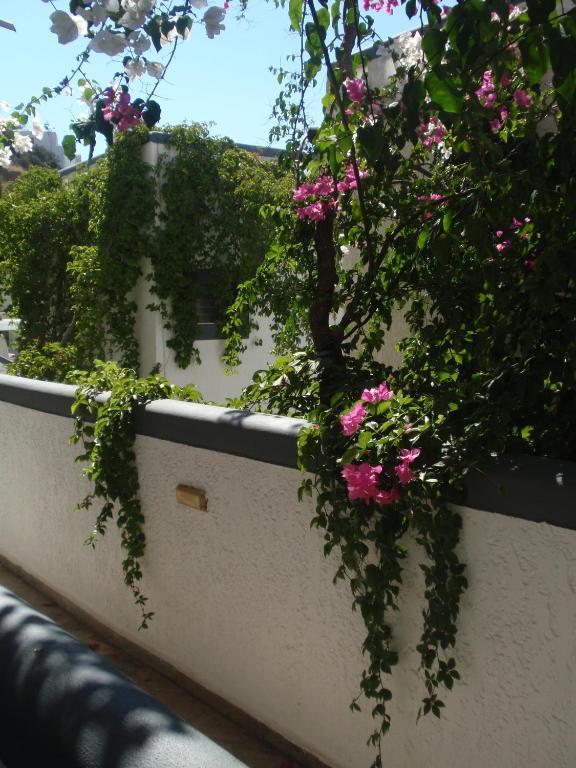 איה גליני Fevro Hotel חדר תמונה