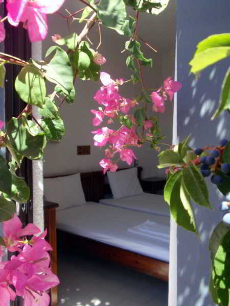 איה גליני Fevro Hotel מראה חיצוני תמונה